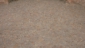 KIF_0856